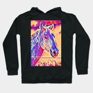 Painted Pony Hoodie